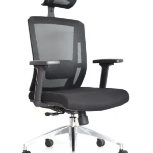 DELPHI PRESIDENTE