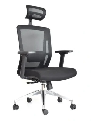 DELPHI PRESIDENTE